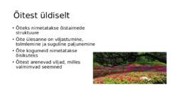 Õis ja vili #2