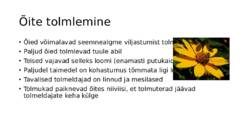 Õis ja vili #4