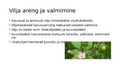 Õis ja vili #5