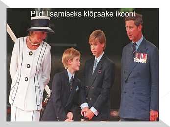 Princess Diana #11