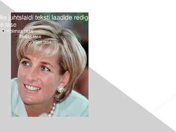 Princess Diana #13