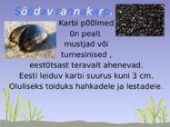 Läänemeri #13