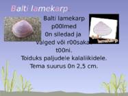 Läänemeri #14