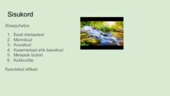 Eesti Metsad #2