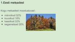 Eesti Metsad #4