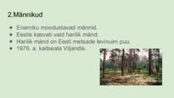Eesti Metsad #5