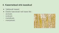 Eesti Metsad #7