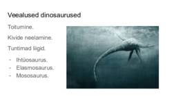 Dinosaurused #9