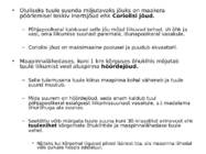 Tuul ja õhuringlus #3