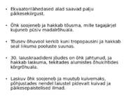 Tuul ja õhuringlus #7