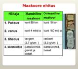 Maa siseehitus-selle uurimine-Maakoore ehitus #14