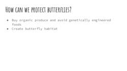 Butterflies #5