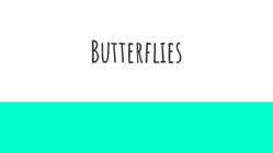 Butterflies