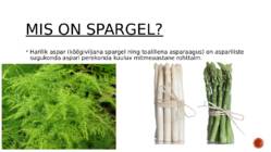 Spargel ja selle kasutamine #2