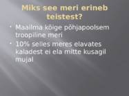 Punane meri #13