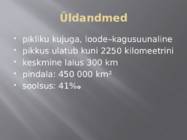 Punane meri #6