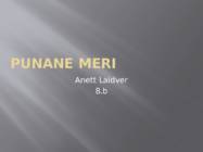 Punane meri