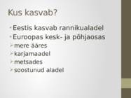 Ravimtaimed - Kadakas #4