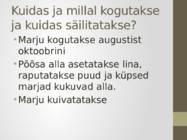 Ravimtaimed - Kadakas #10