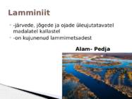 Vooluveetekkelised kuhjevormid #6