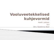 Vooluveetekkelised kuhjevormid