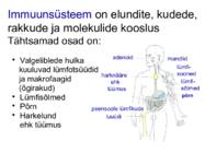 Haigus ja immuunsus #4