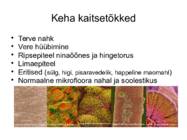 Haigus ja immuunsus #6
