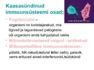 Haigus ja immuunsus #7