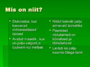 Niidutaimed #2