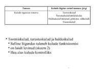 Kulu--ja juhtimis arvestus #37