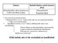 Kulu--ja juhtimis arvestus #39