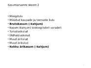 Kulu--ja juhtimis arvestus #8