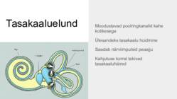 Kuidas inimene kuuleb #8