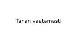 Mänguasjapoe esitlus #10