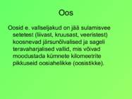 Eesti pinnavormid #12