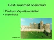 Eesti pinnavormid #13