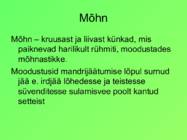 Eesti pinnavormid #14