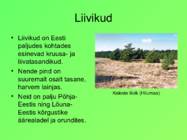 Eesti pinnavormid #17