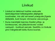 Eesti pinnavormid #18
