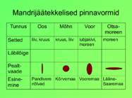 Eesti pinnavormid #20