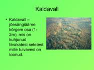 Eesti pinnavormid #25