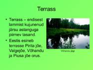 Eesti pinnavormid #28