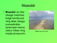 Eesti pinnavormid #32