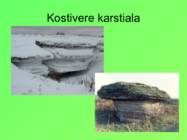 Eesti pinnavormid #39