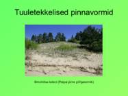 Eesti pinnavormid #40