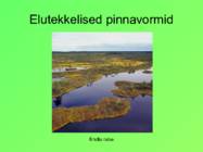 Eesti pinnavormid #42