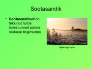 Eesti pinnavormid #43
