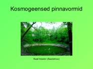 Eesti pinnavormid #45