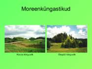 Eesti pinnavormid #8