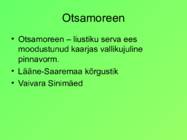 Eesti pinnavormid #10